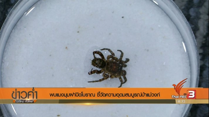 ประเด็นข่าว (20 ก.ย. 60)