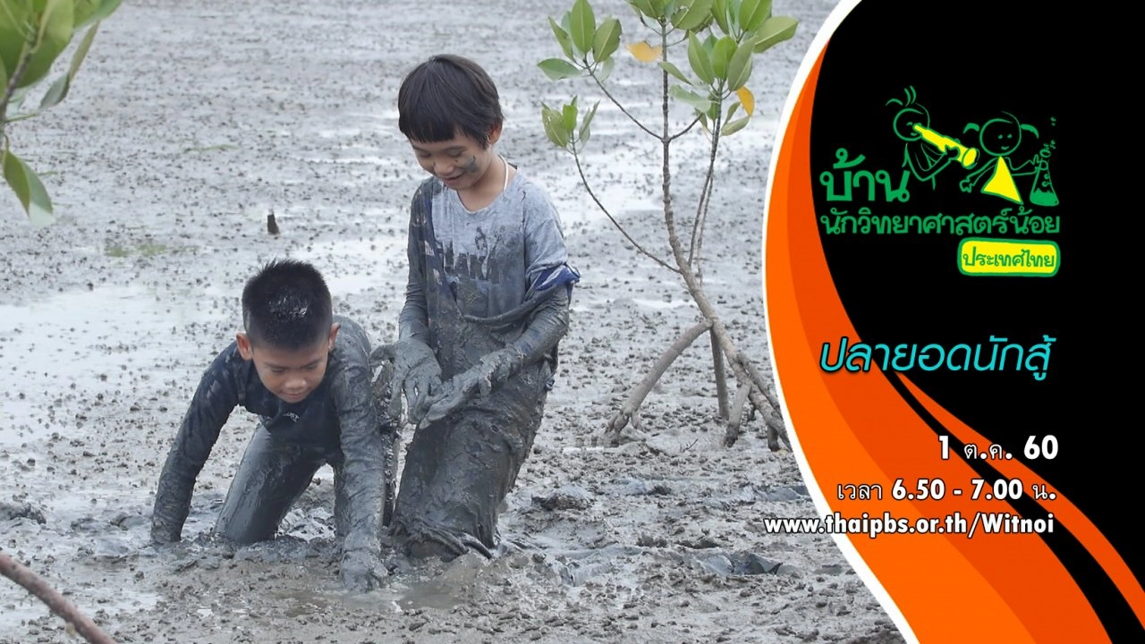 ปลายอดนักสู้