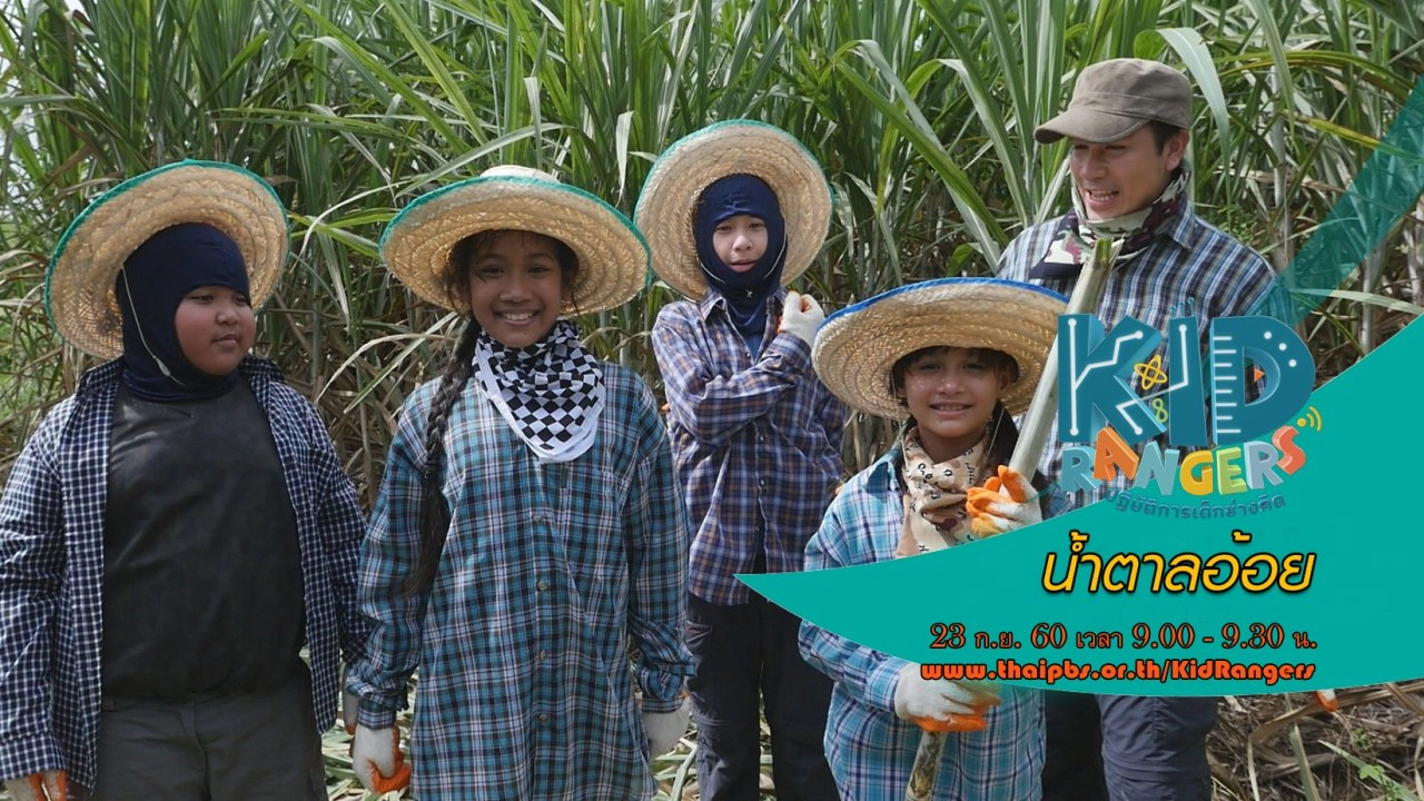 น้ำตาลอ้อย