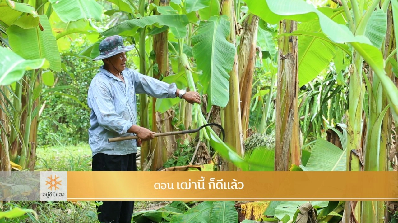 เฒ่านี้ ก็ดีแล้ว​