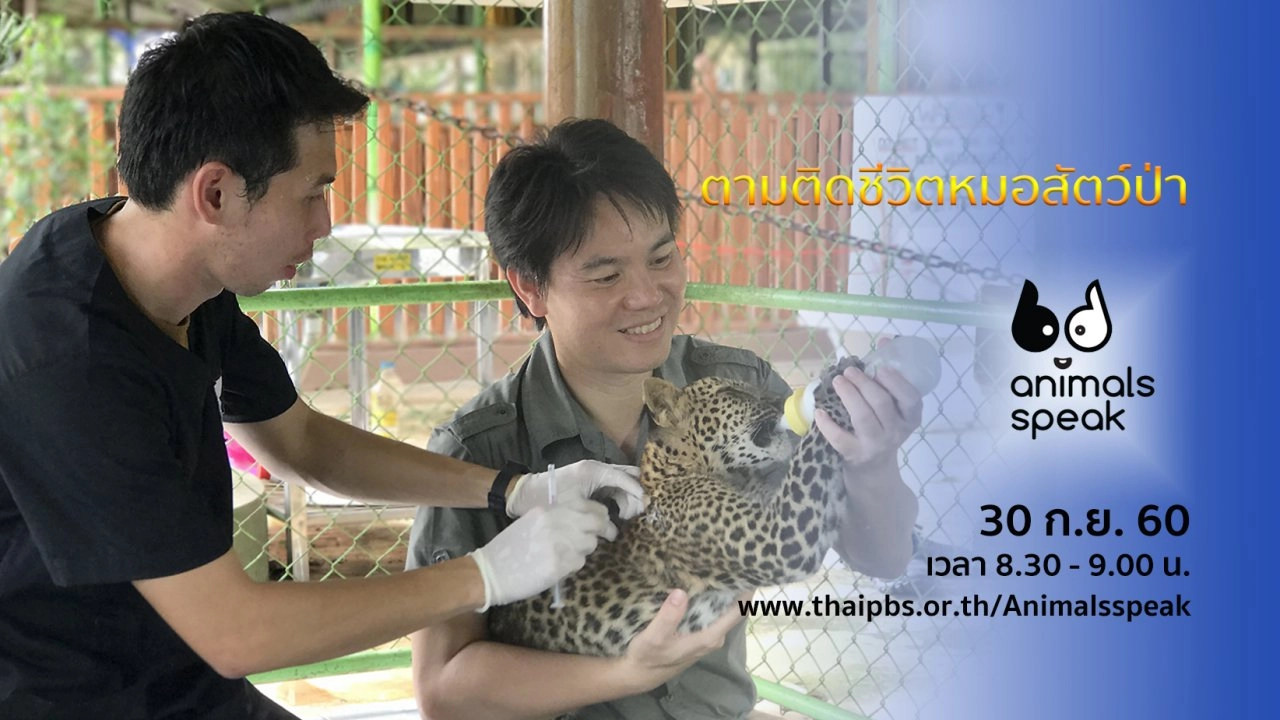 ตามติดชีวิตหมอสัตว์ป่า