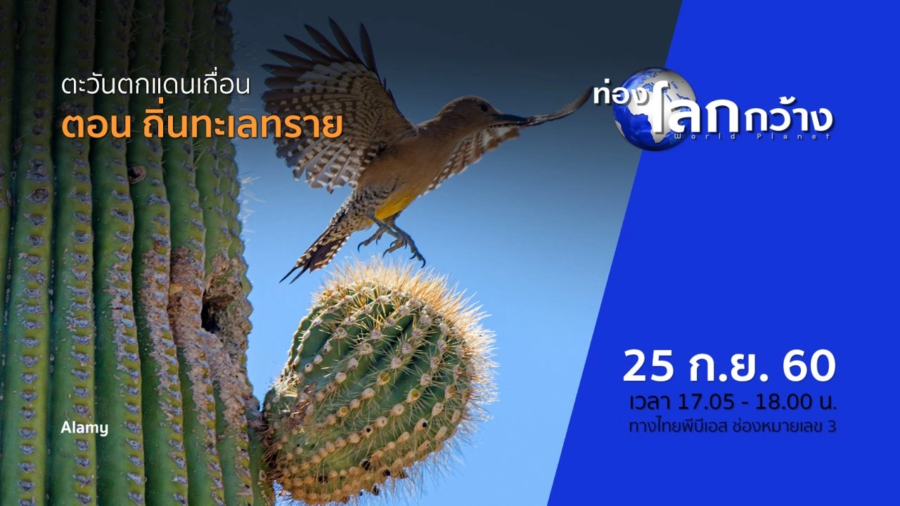 ตะวันตกแดนเถื่อน ตอน ถิ่นทะเลทราย