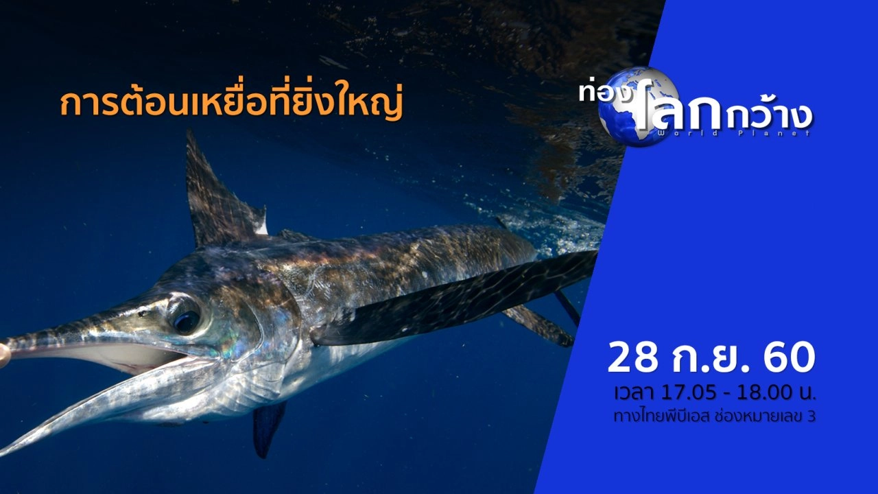 การต้อนเหยื่อที่ยิ่งใหญ่