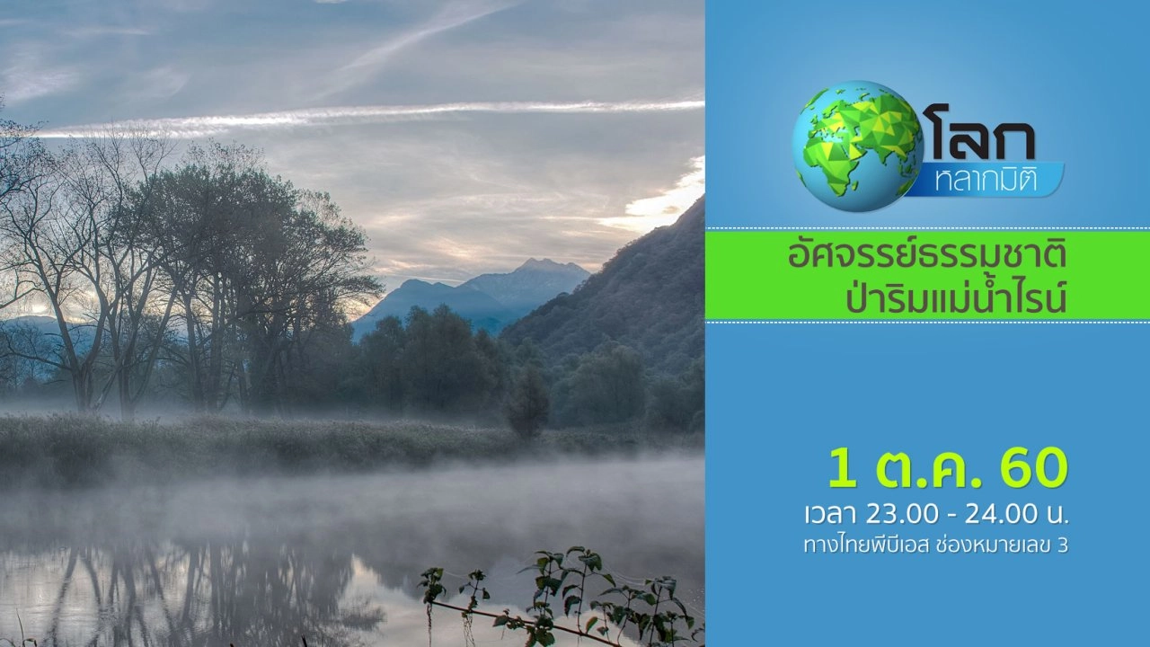 อัศจรรย์ธรรมชาติป่าริมแม่น้ำไรน์