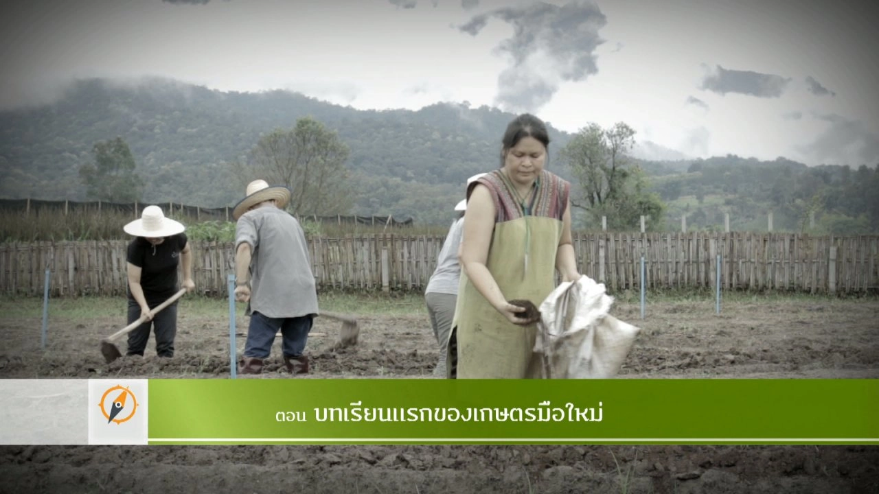 บทเรียนแรกของเกษตรมือใหม่​