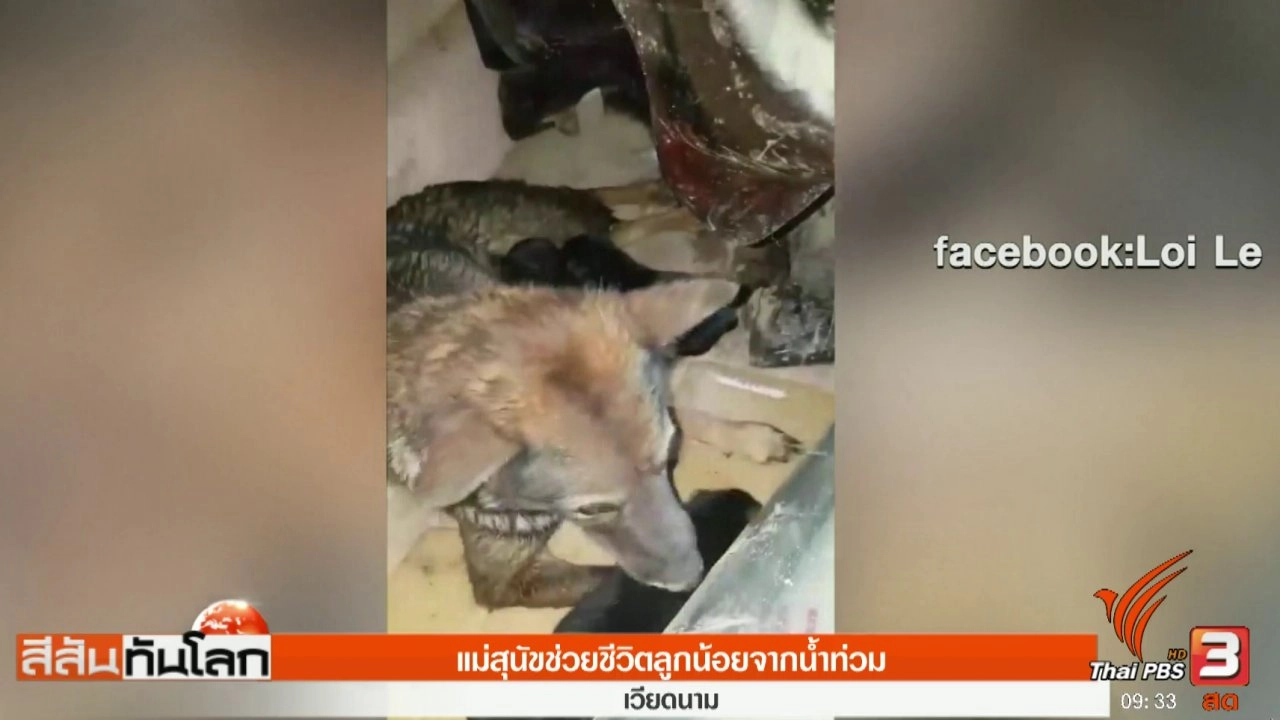 ประเด็นข่าว (30 ก.ย. 60)