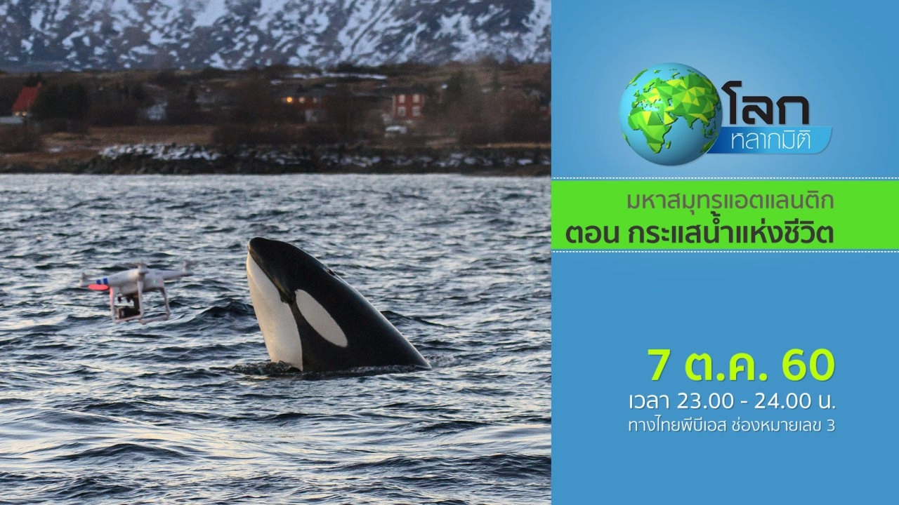 มหาสมุทรแอตแลนติก ตอน กระแสน้ำแห่งชีวิต