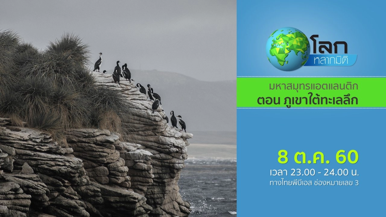 มหาสมุทรแอตแลนติก ตอน ภูเขาใต้ทะเลลึก