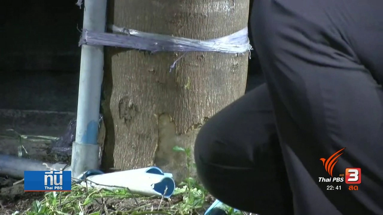 ประเด็นข่าว (15 พ.ค. 60)