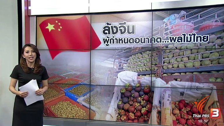 ประเด็นข่าว (18 พ.ค. 60)