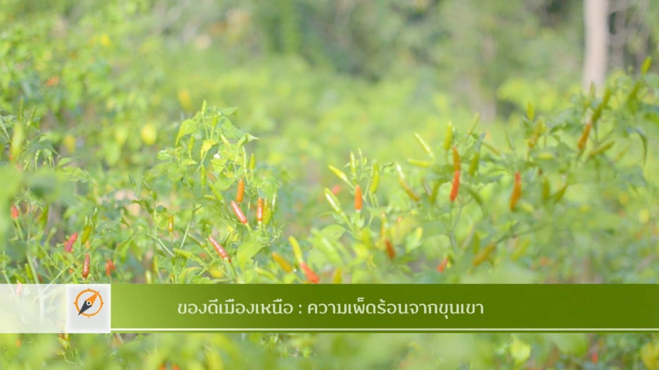 ของดีเมืองเหนือ