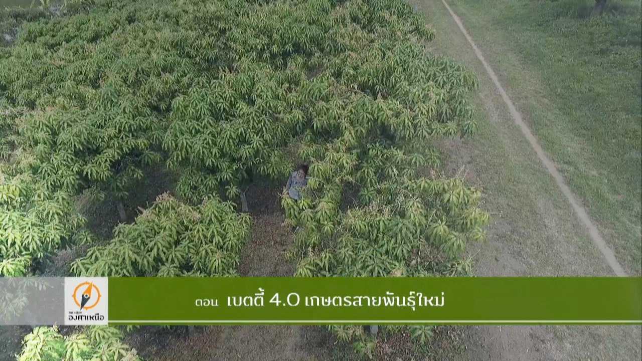 เบตตี้ 4.0 เกษตรกรพันธุ์ใหม่​