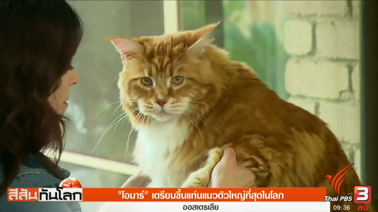 ประเด็นข่าว (27 พ.ค. 60)