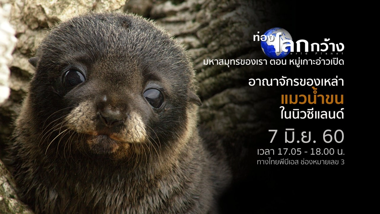 มหาสมุทรของเรา ตอน หมู่เกาะอ่าวเปิด