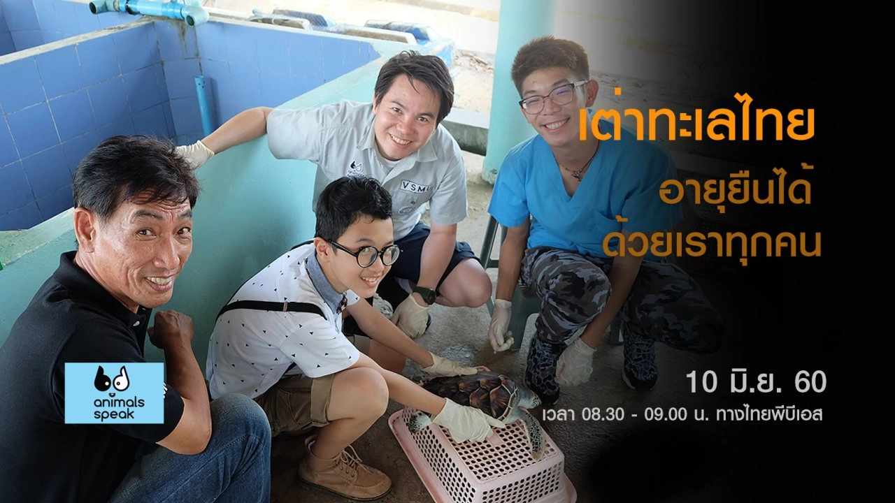 เต่าทะเลไทย อายุยืนได้ด้วยเราทุกคน