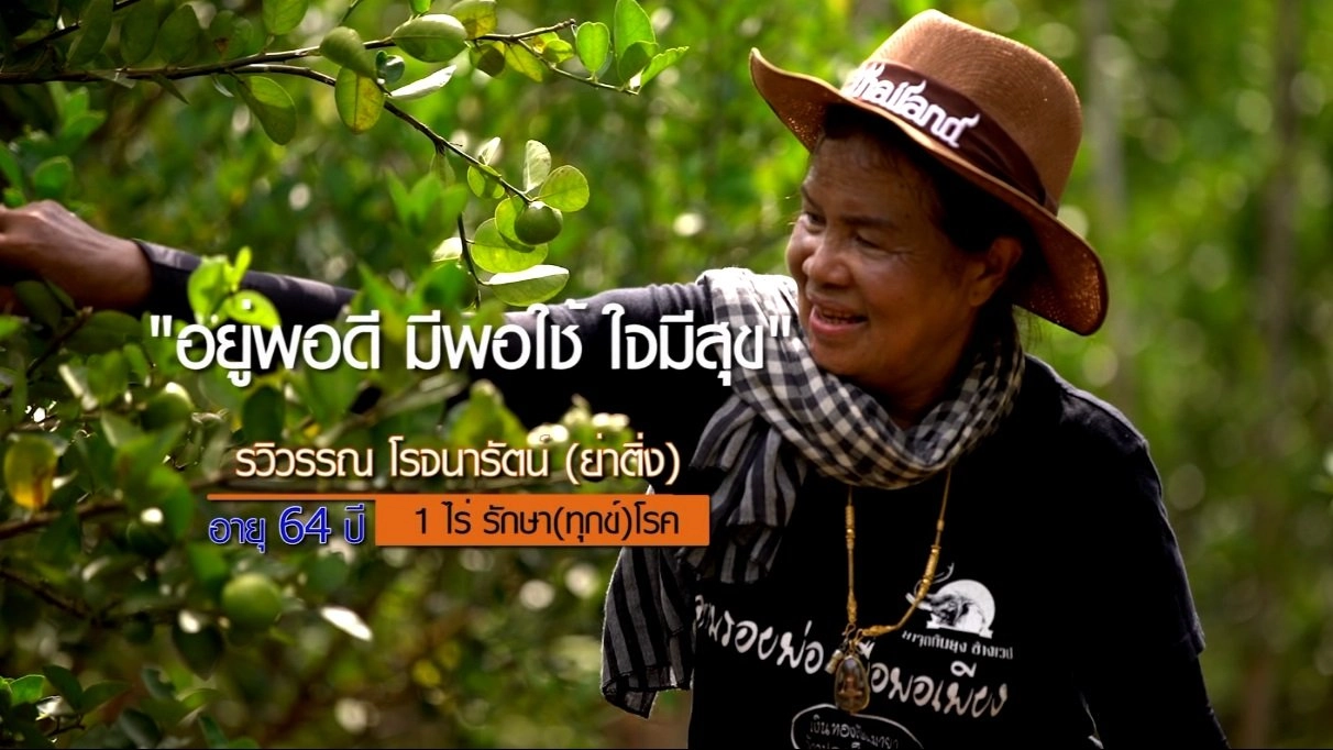 ย่าติ่ง 1 ไร่รักษา(ทุกข์)โรค / ข้าวตัง