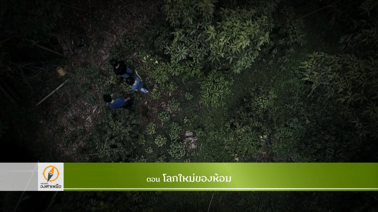 โลกใหม่ของห้อม