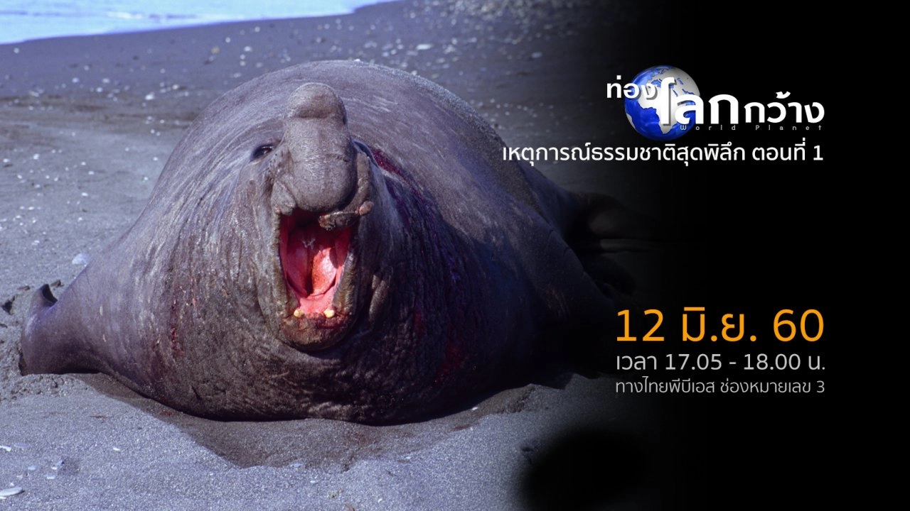 เหตุการณ์ธรรมชาติสุดพิลึก ตอนที่ 1