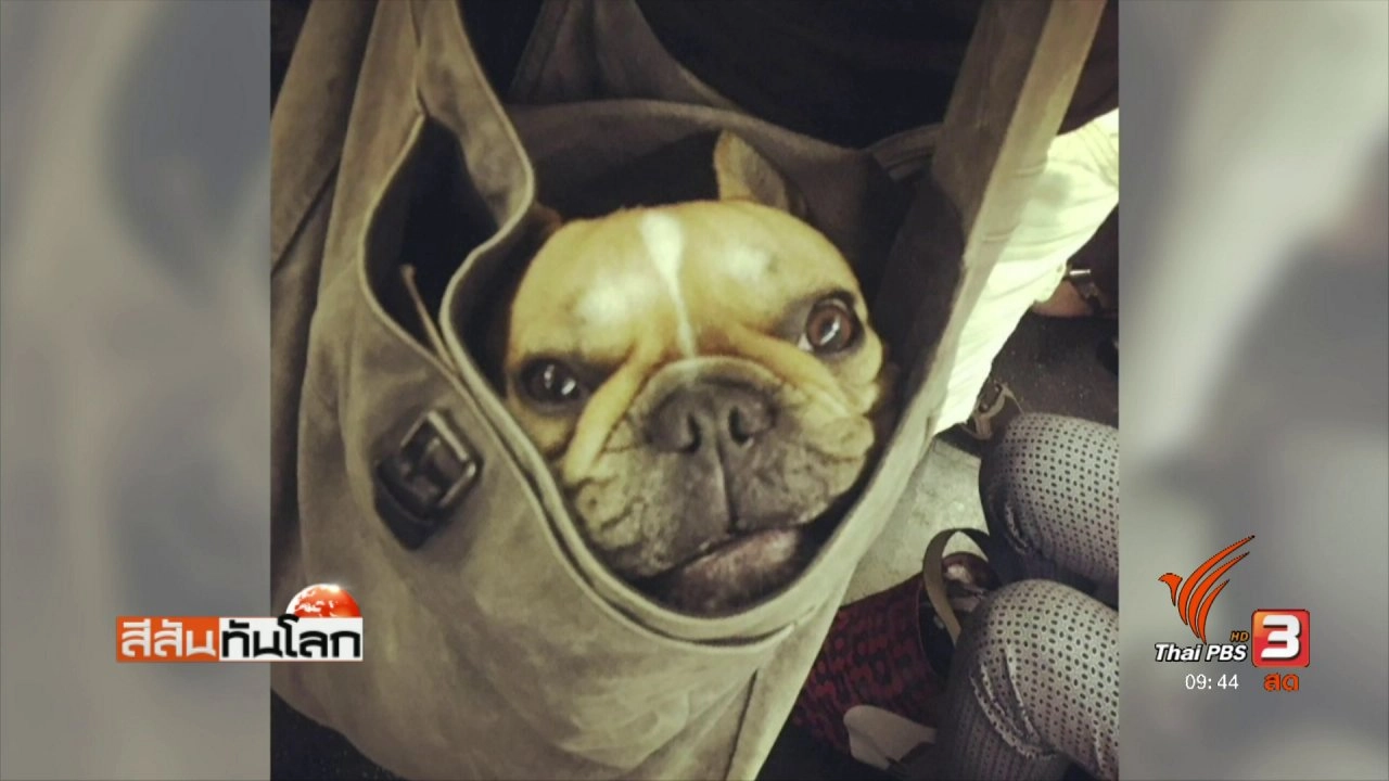 ประเด็นข่าว (10 มิ.ย. 60)