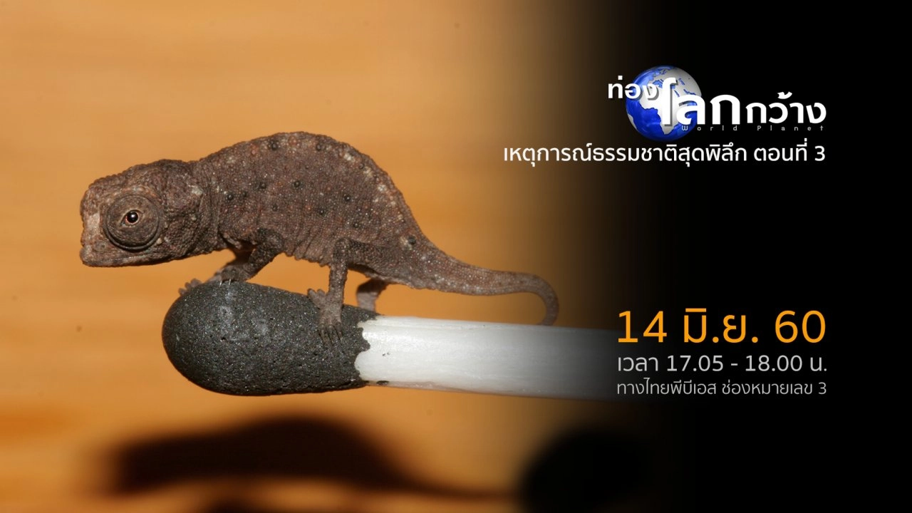 เหตุการณ์ธรรมชาติสุดพิลึก ตอนที่ 3