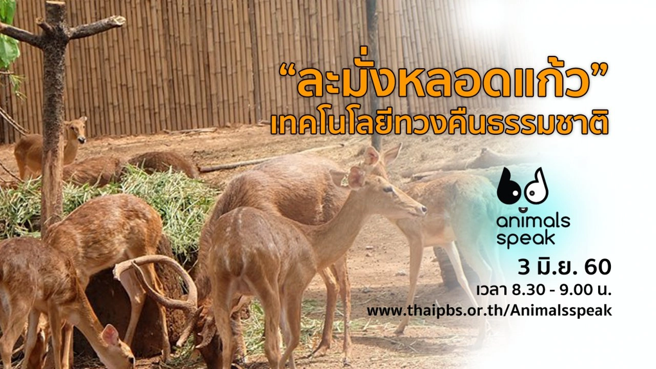 “ละมั่งหลอดแก้ว” เทคโนโลยีทวงคืนธรรมชาติ