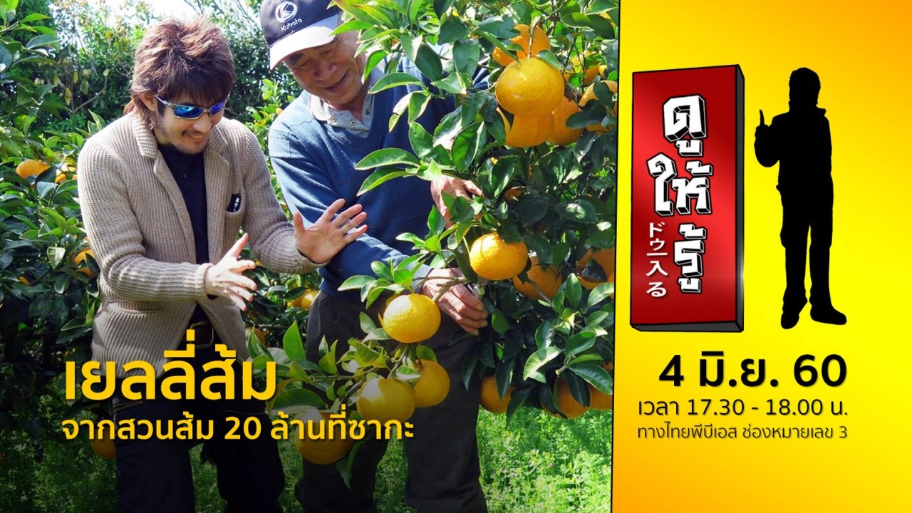 เยลลี่ส้ม จากสวนส้ม 20 ล้านที่ซากะ