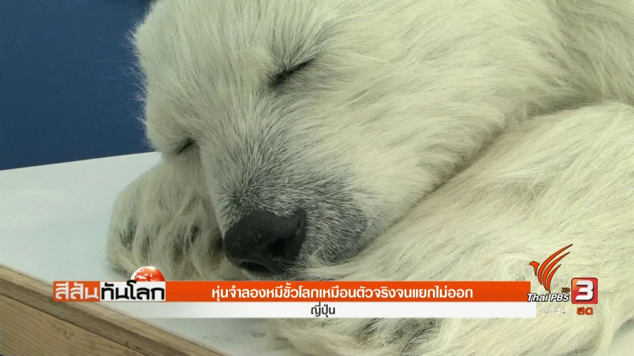 ประเด็นข่าว (17 มิ.ย. 60)