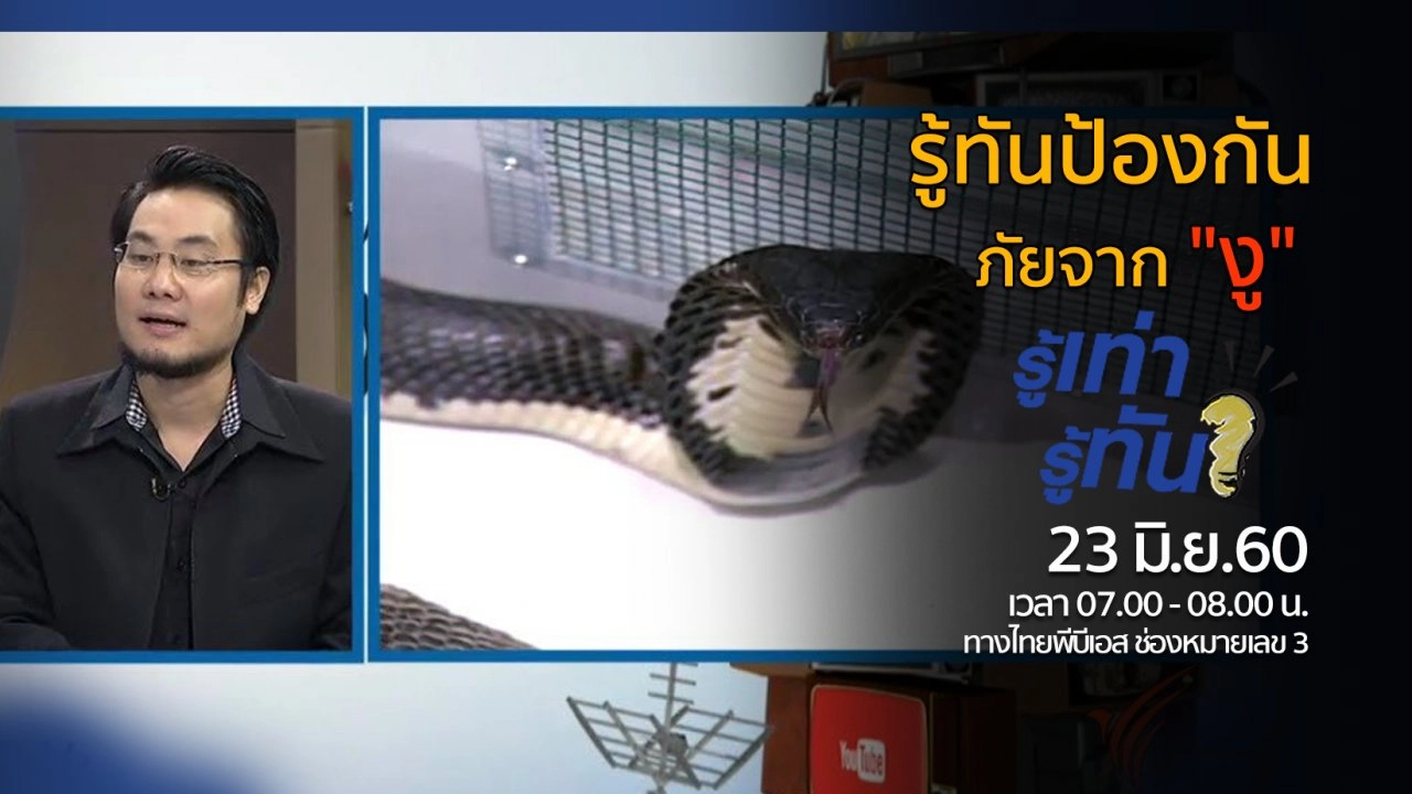 รู้ทัน..ป้องกันภัยจาก "งู"