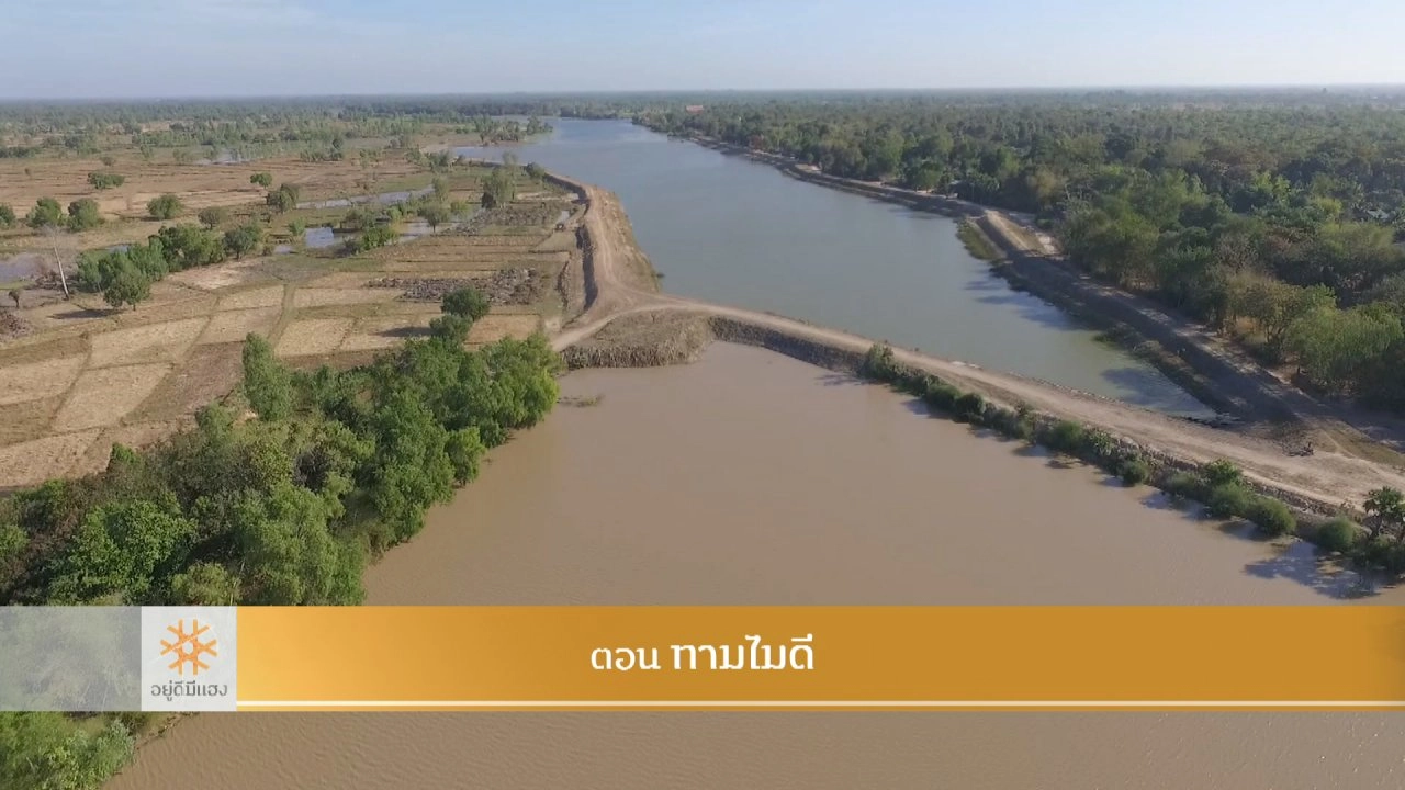 ทามไมดี​​