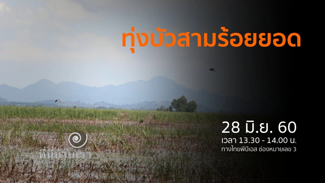 ทุ่งสามร้อยยอด