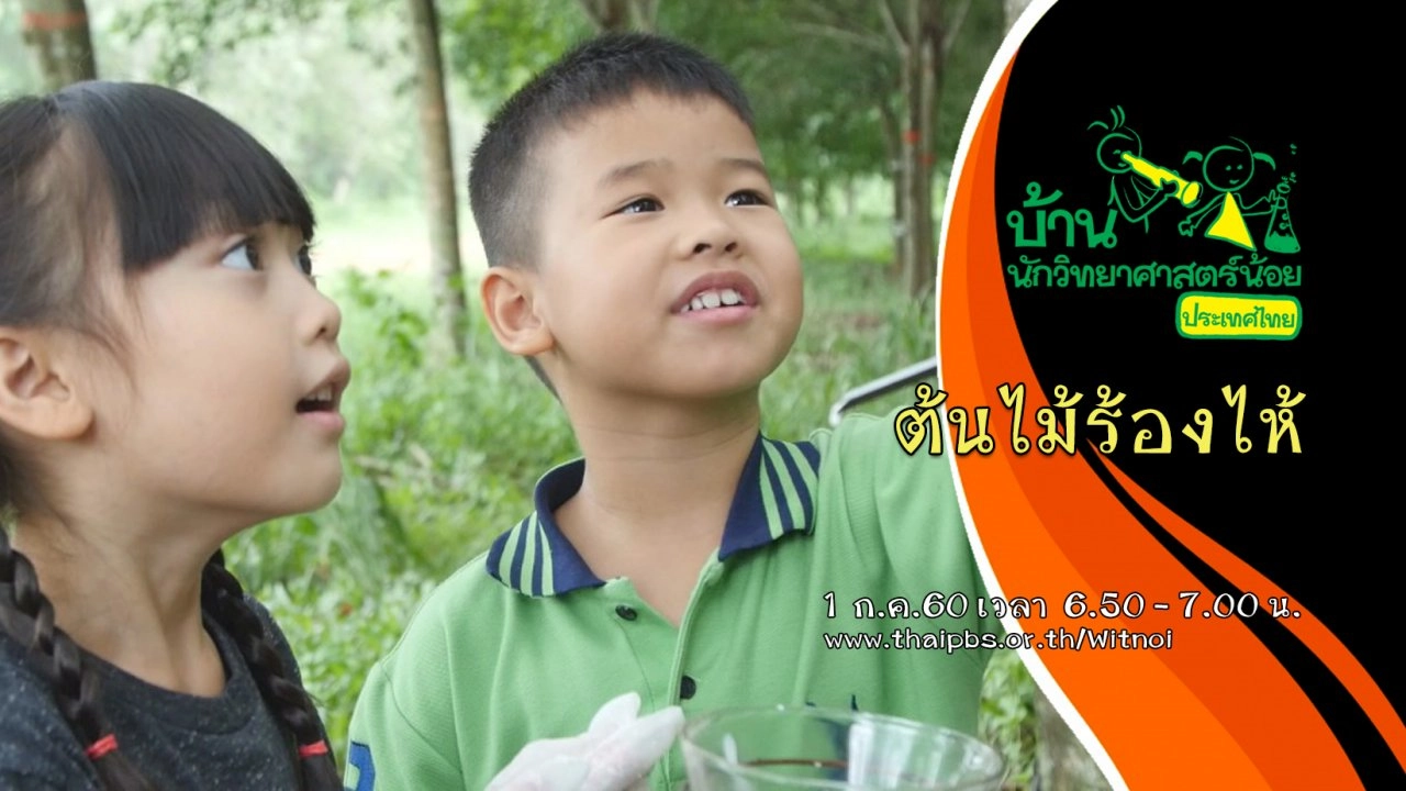 ต้นไม้ร้องไห้