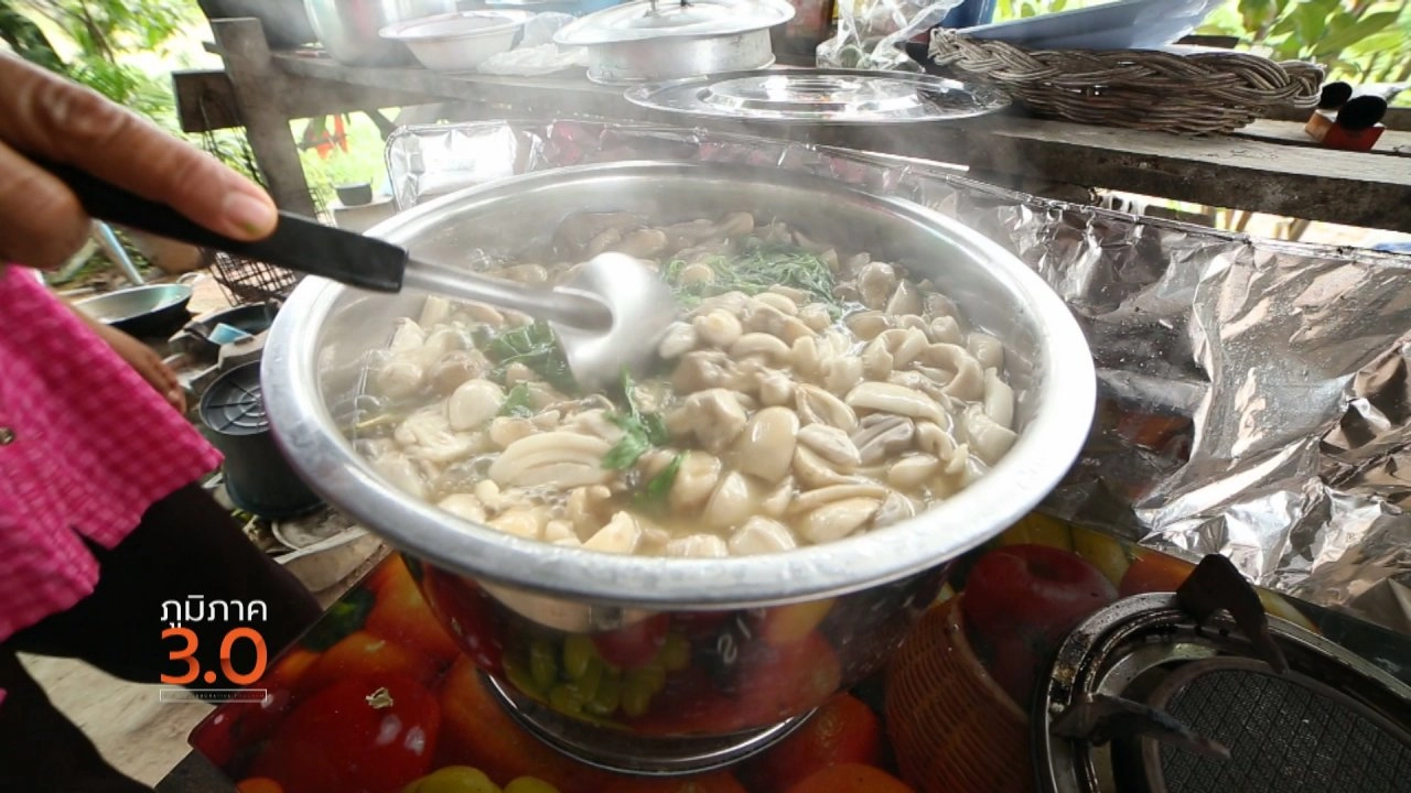 ดูหลำ วิชาฟังเสียงปลา, โคกสวาย ซำบายคัก, โลกไร้เงินสด