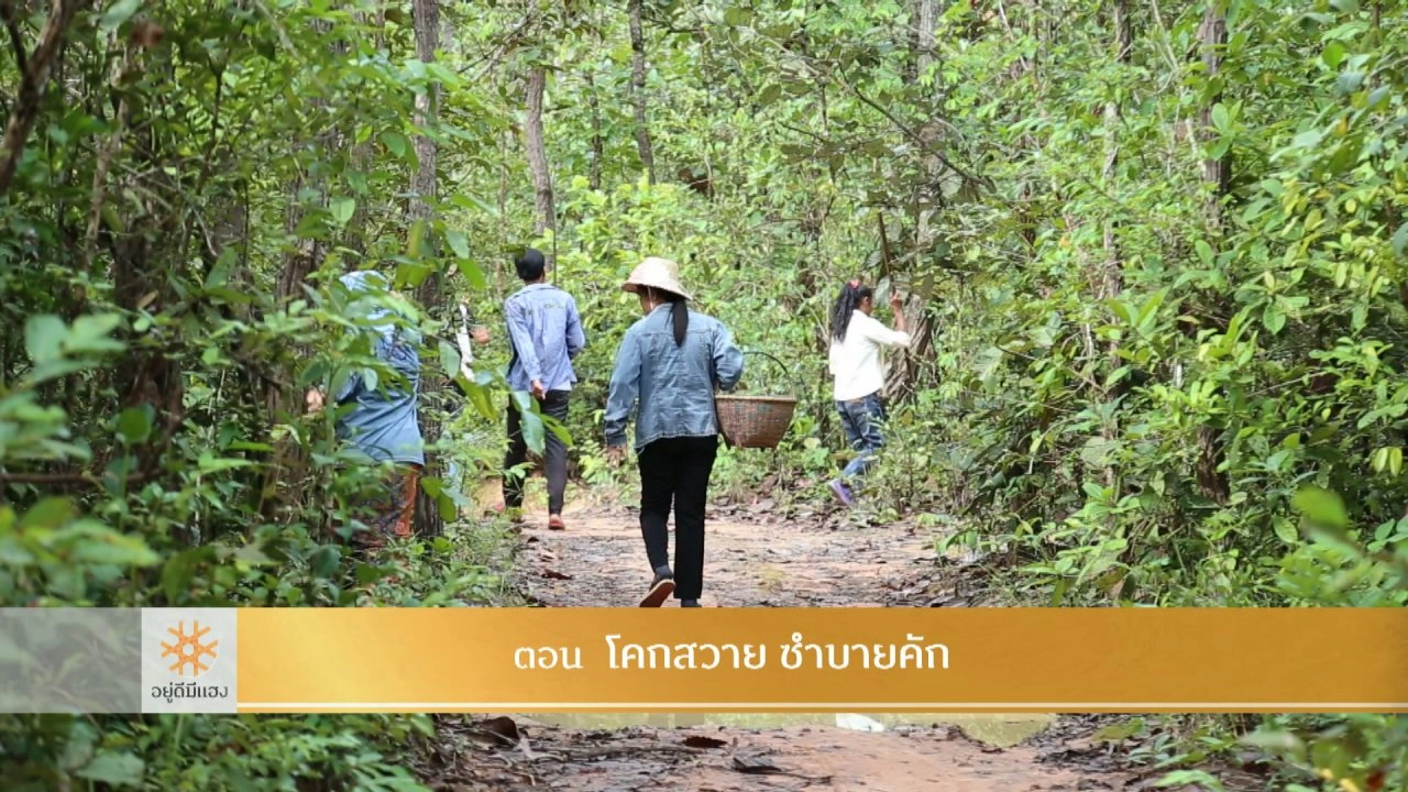 โคกสวาย ซำบายคัก​