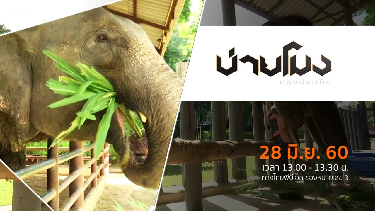 ประเด็นข่าว ( 28 มิ.ย. 60)