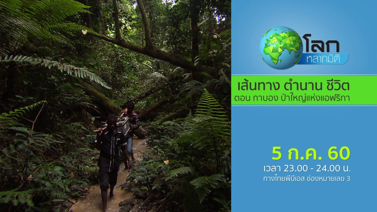 เส้นทาง ตำนาน ชีวิต ตอน กาบอง ป่าใหญ่แห่งแอฟริกา