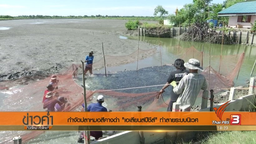 ประเด็นข่าว (6 ก.ค. 60)