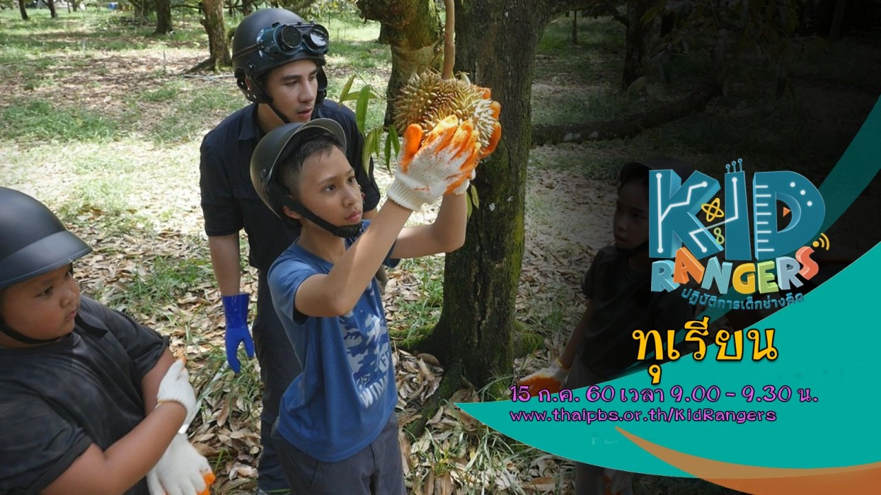 ทุเรียน