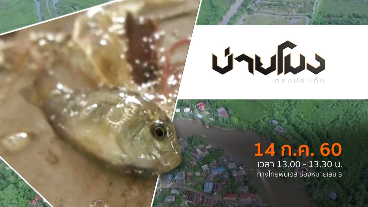 ประเด็นข่าว ( 14 ก.ค. 60)