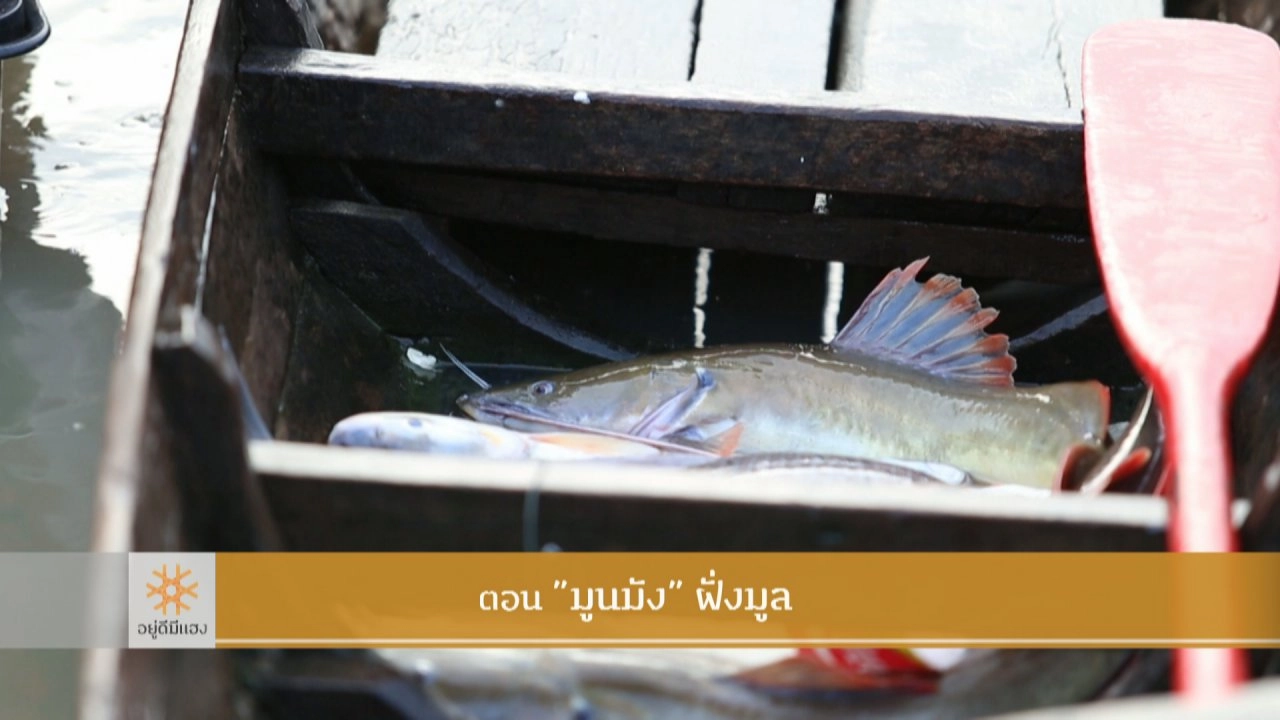 "มูนมัง" ฝั่งมูล​