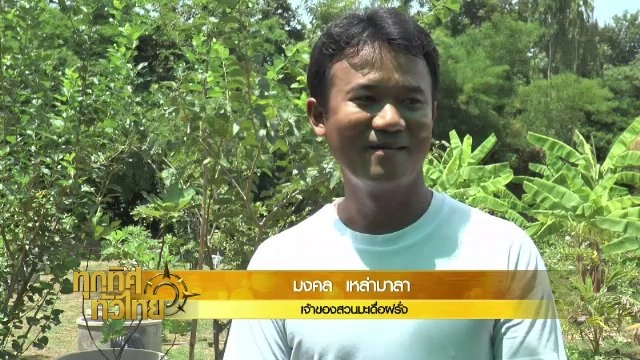 ประเด็นข่าว (12 ก.ค. 60)