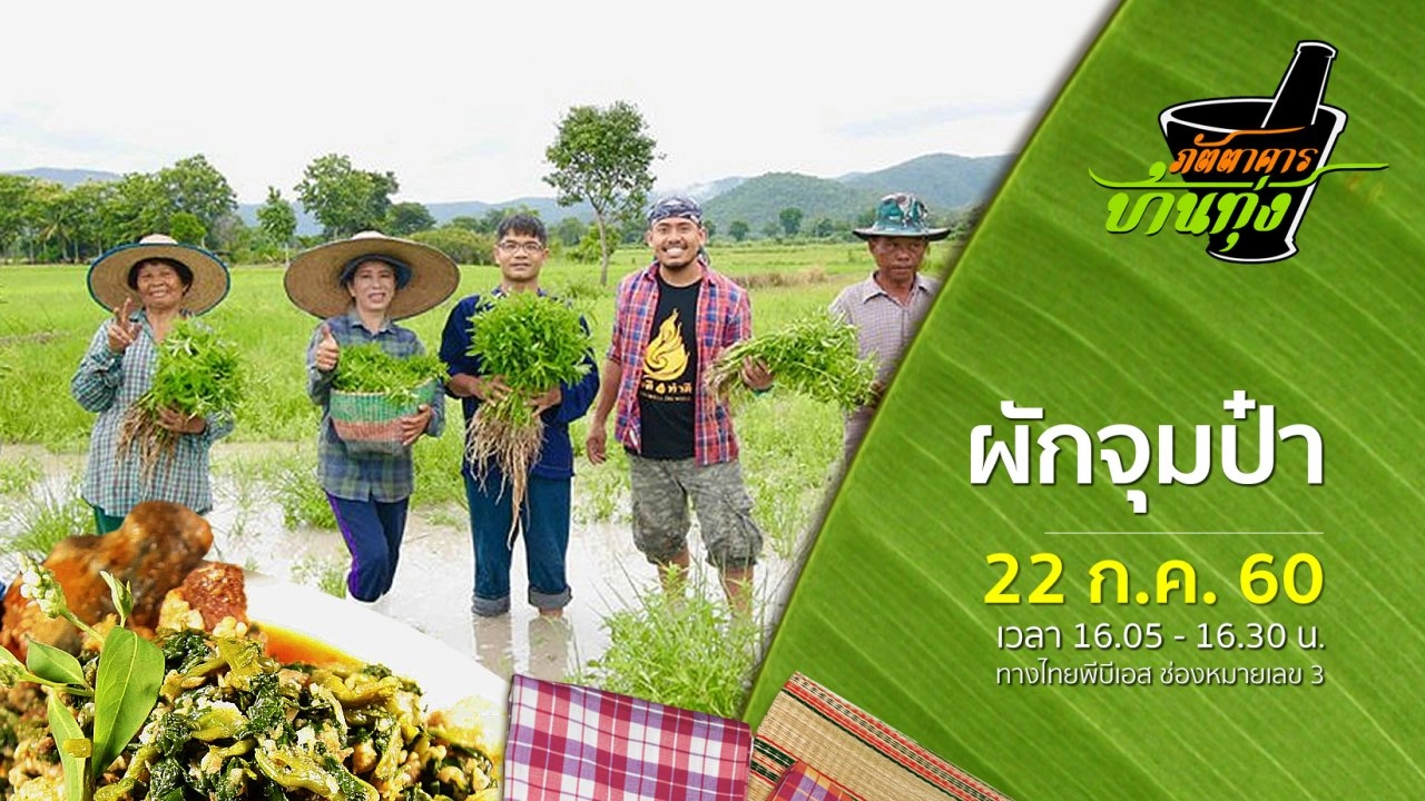 ผักจุมป๋า