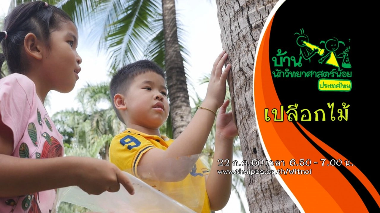 เปลือกไม้