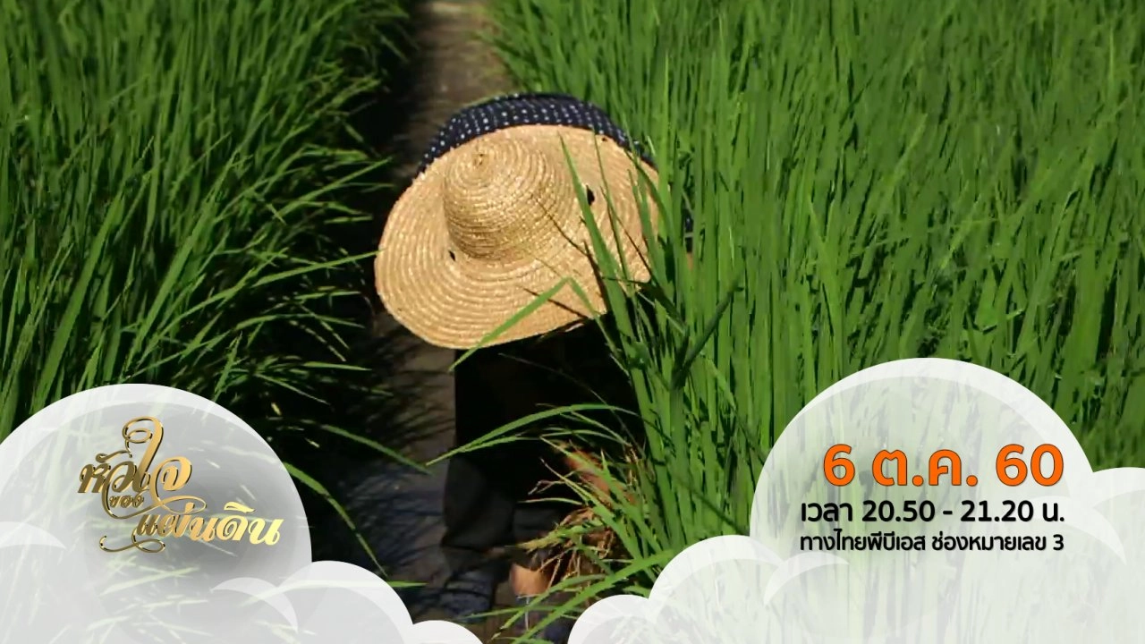 หัวใจของแผ่นดิน ( 6 ต.ค. 60 )