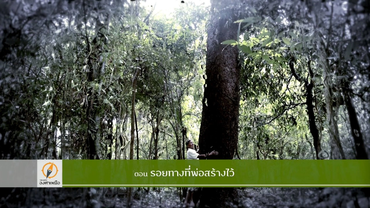 รอยทางที่พ่อสร้างไว้​​