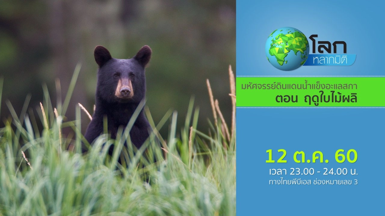 มหัศจรรย์ดินแดนน้ำแข็งอะแลสกา ตอน ฤดูใบไม้ผลิ