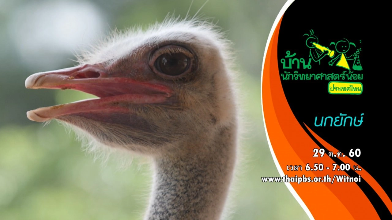 นกยักษ์