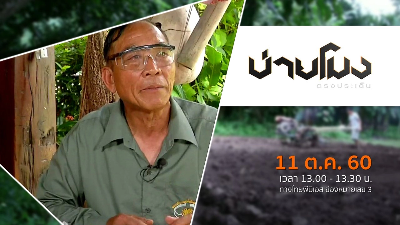 ประเด็นข่าว ( 11 ต.ค. 60)