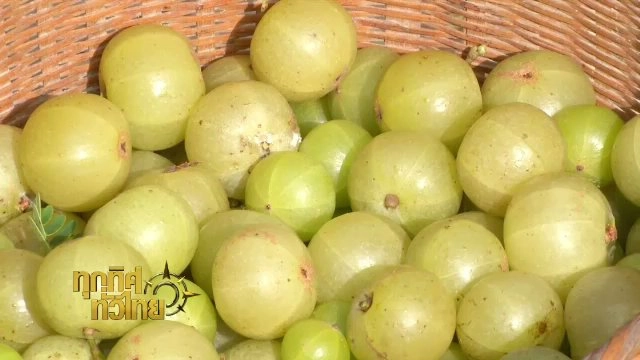 ประเด็นข่าว (18 ต.ค. 60)