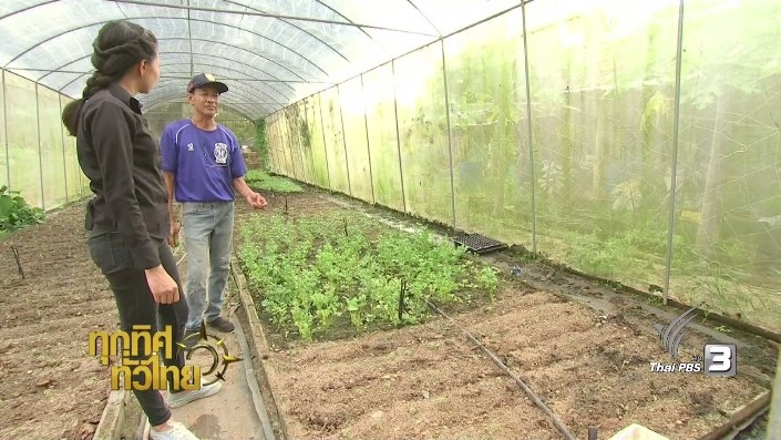 ประเด็นข่าว (17 ต.ค. 60)