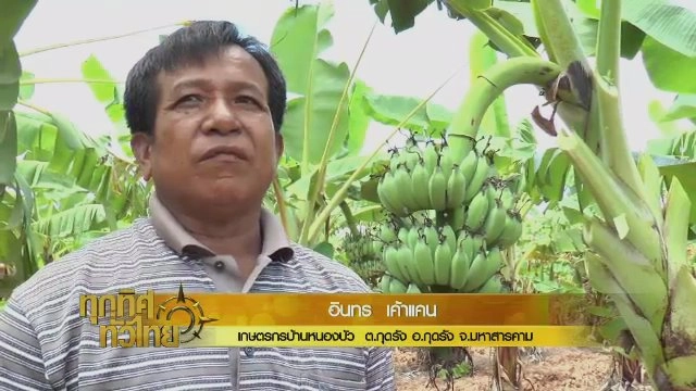 ประเด็นข่าว (19 ต.ค. 60)